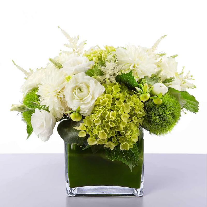 Green Hydrangeas & White Roses